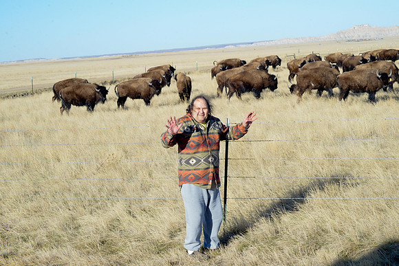 The Buffalo Whisperer